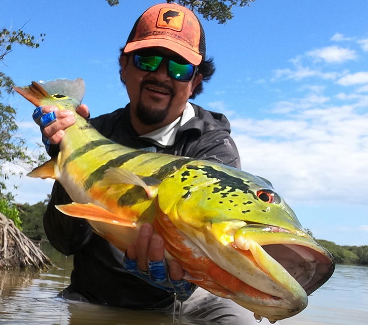 Dream Bass Adventure - COLOMBIA